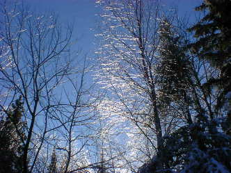DSC05458