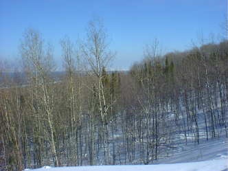 DSC04918