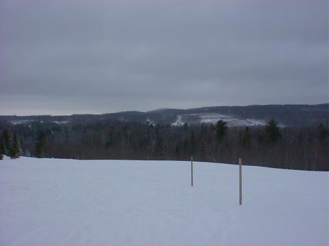 DSC00624