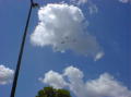 DSC04685