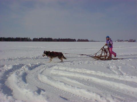 DSC01008